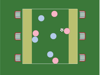 4v4 Multi-Goal Small-Sided Game